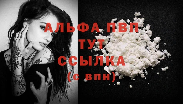 молекула духа Горняк